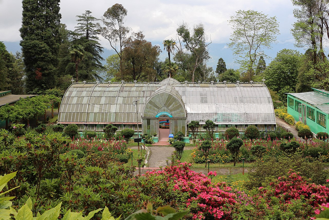Darjeeling Botanical Garden 
